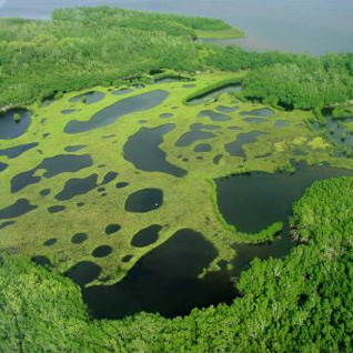 Visite de quelques endroits fascinants dans le continent africain